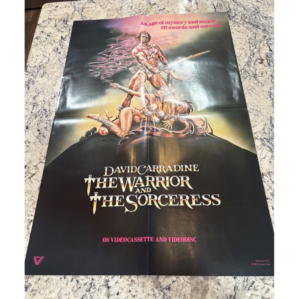 Vintage Original'The Warrior and the Sorceress' VHS Vestron Video Promo Poster